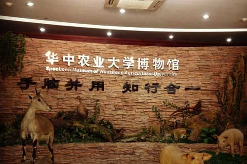 科研,科普功能为一体的综合性博物馆,收藏了华中农学院园艺,林学,水产
